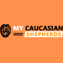 Coub profile picture for @caucasian