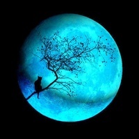 QutyMoon
