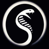 Dmitry Vladimirovich