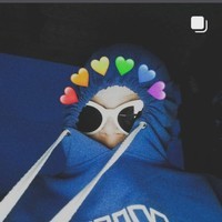 crvsxd