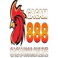 GACAM888 - Mạng Tổng Đá Gà Thomo, Live Full HD Cực Hot