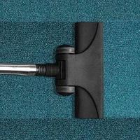 Carpet Cleaning Home