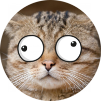 Кривой Кот (Сrooked Cat) 