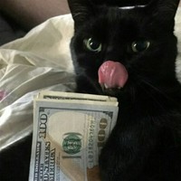 lilmxcwez