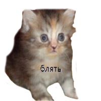 namek