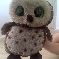 Owl Vines Extras