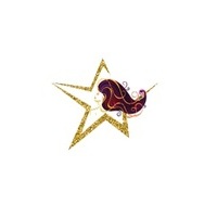 bigstarhairextension.com.au