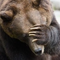 И еще зверики