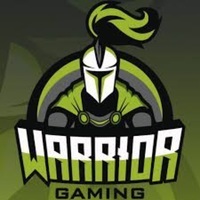Warriors of gaming