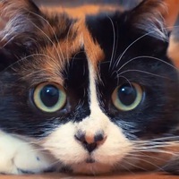 Саша Беляев