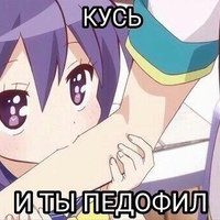 kotaynik3456