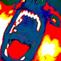 VeryDogeMuchMeme