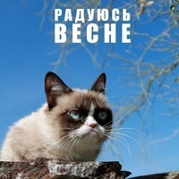 Павел Витальевич