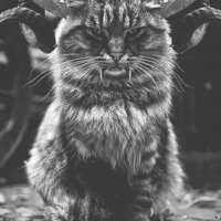  ̪ ̫ ̬ ̭ ̮ ̯ ̰ ̱Велес ̲ ̸ ̹ ̺ ։֑֖֛֚֒֓֔֕֗֘֙֜֝֞֟֠ ְֱֲֳִֵֶַָ֥֦֧֪֭֮֡֨֩֫֬֯