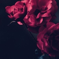 DTSK