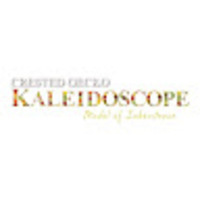 Crested Gecko Kaleidoscope
