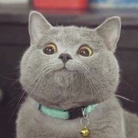 Егор Симонов