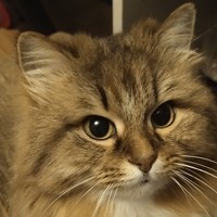 Мария Лебедёва