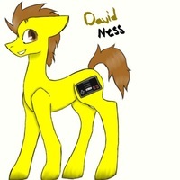 David Ness