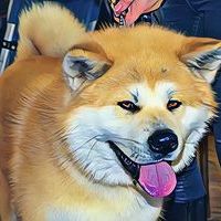 ARKMan