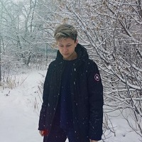 макс нестер