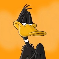 ViDuck