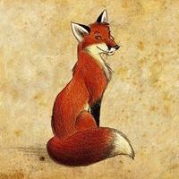 Vulpes Nivalis