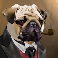 PUG TIME!!!!
