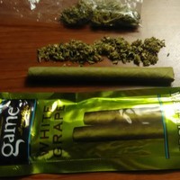 Anarchist409's Randomness