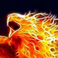 FireCoub