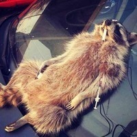 Сергей Боков