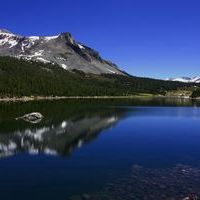 wonderful world