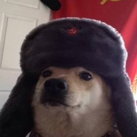 Pavel Gorbachev