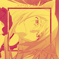 _kimwashere