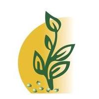 biocarveseeds