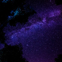Insane_n_wild