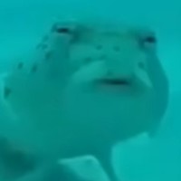 Black_W1nd