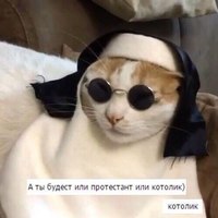 Kkkdy