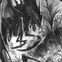 Вэйгар Нокр