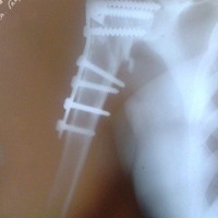 Маргарита Кольке