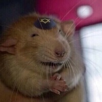 Neegarboi