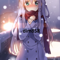 dim858