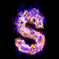 Ser