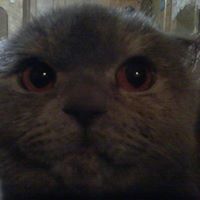 Nano_xxx