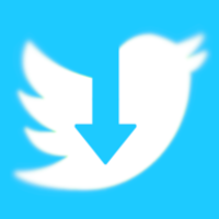 Twitter Video Downloader