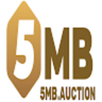 5MB auction