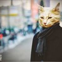 ფიდო ოსიაშვილი