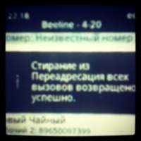 Николай Лепинский