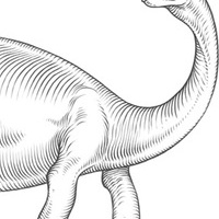 edu_zaurus