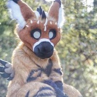 Furry!!